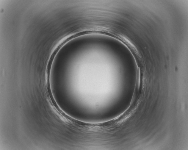 X0000086070940200703231304