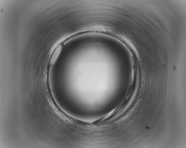 X0000086070944200703231304