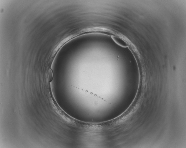 X0000086070945200703231304