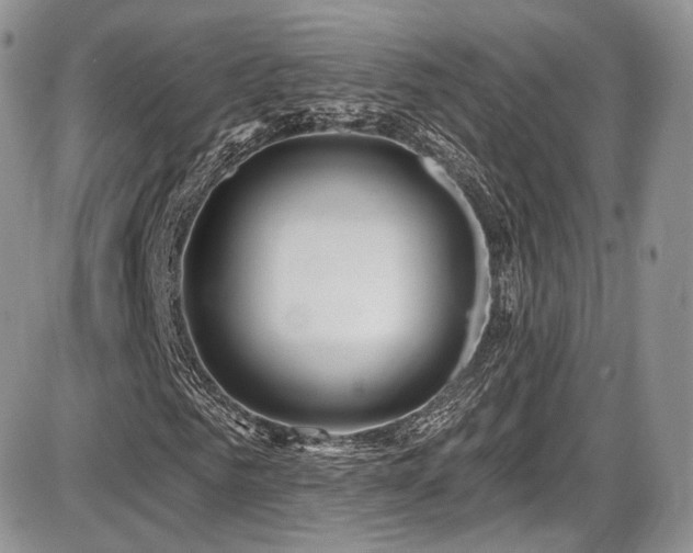 X0000086070961200703231303