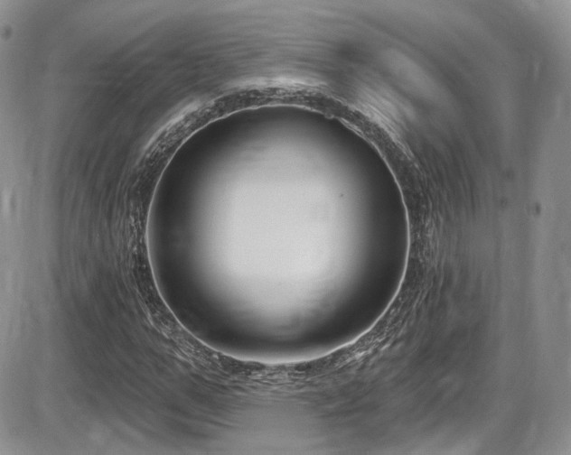 X0000086070967200703231303