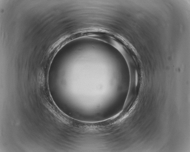 X0000086070969200703231303