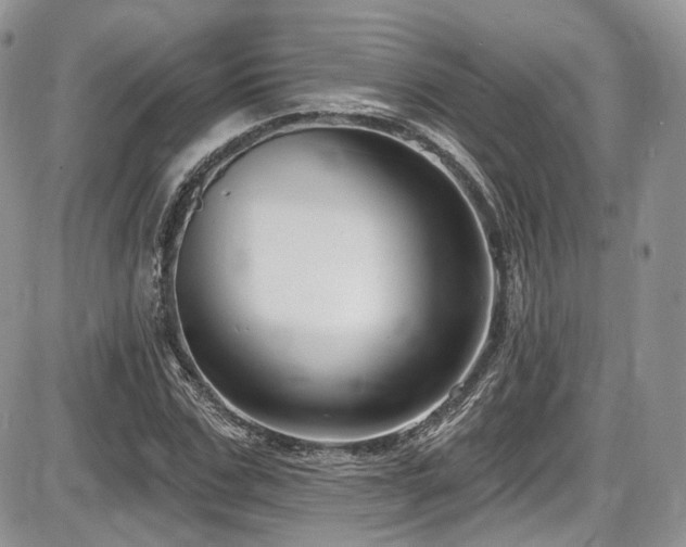 X0000086070971200703231303