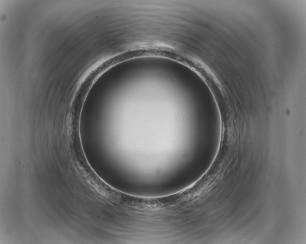 X0000086070975200703231303