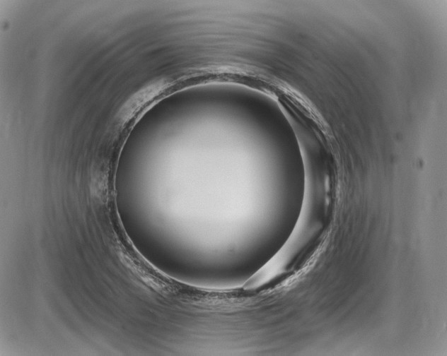 X0000086070977200703231303