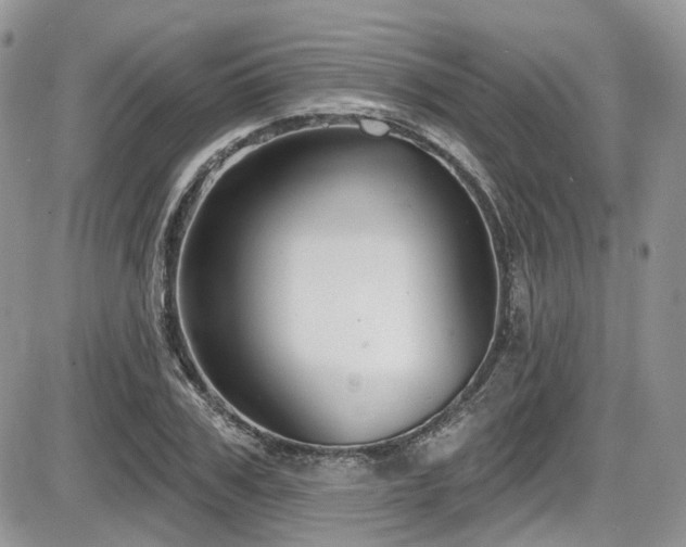 X0000086070979200703231303