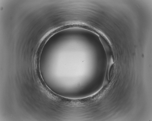 X0000086070983200703231303