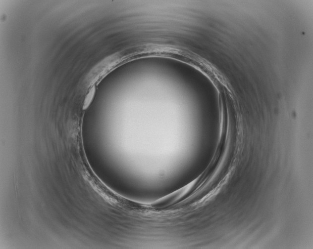 X0000086070985200703231303
