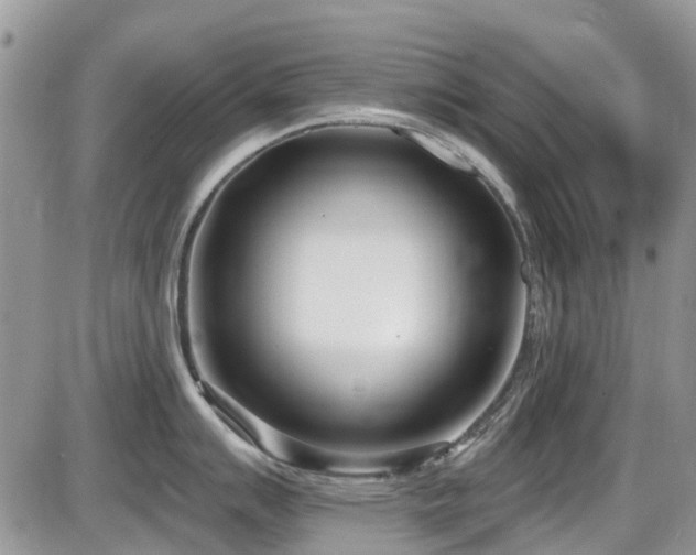 X0000086071007200703231302