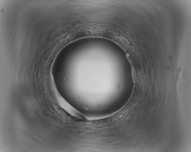 X0000086071009200703231302