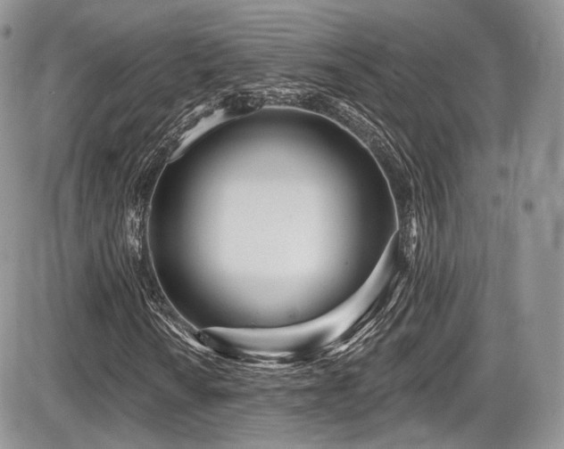 X0000086071010200703231302