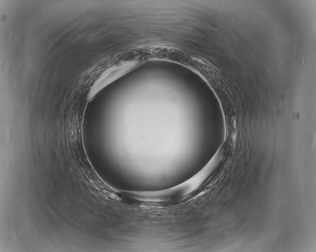 X0000086071014200703231302