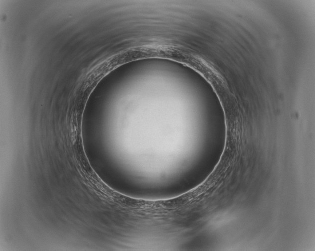 X0000086071015200703231302