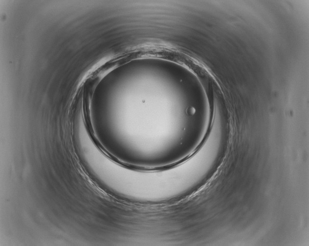 X0000086071018200703231302