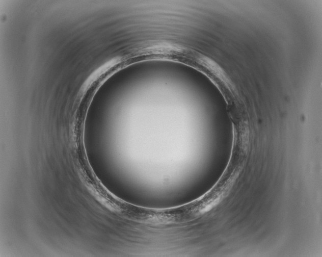 X0000086071026200703231302