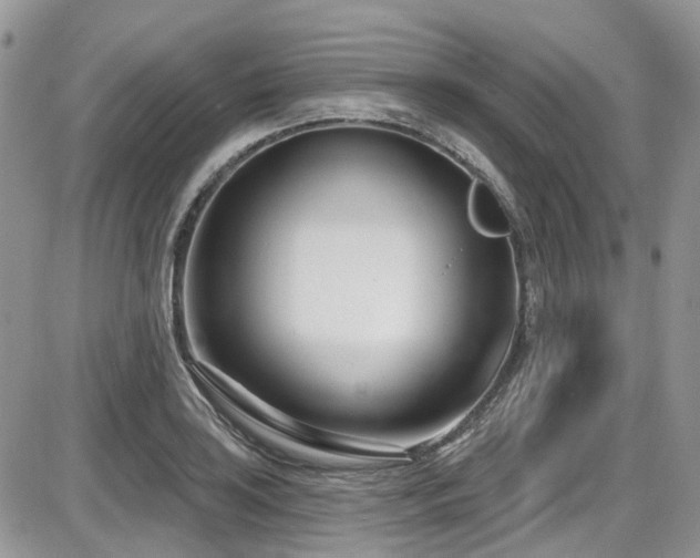 X0000086071035200703231302