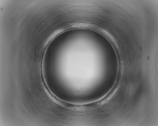 X0000086071041200703231302