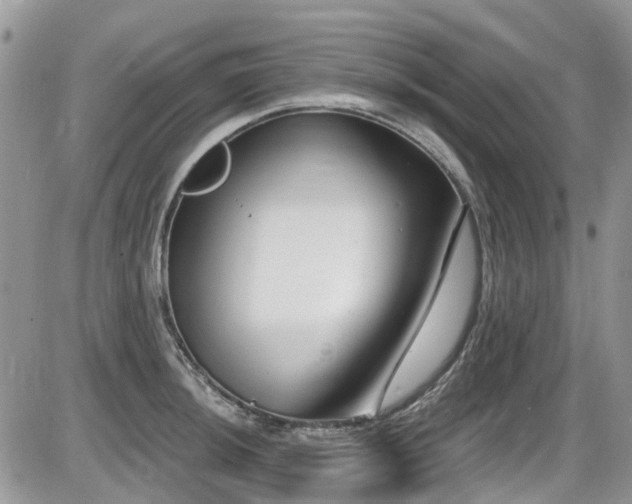 X0000086071044200703231302