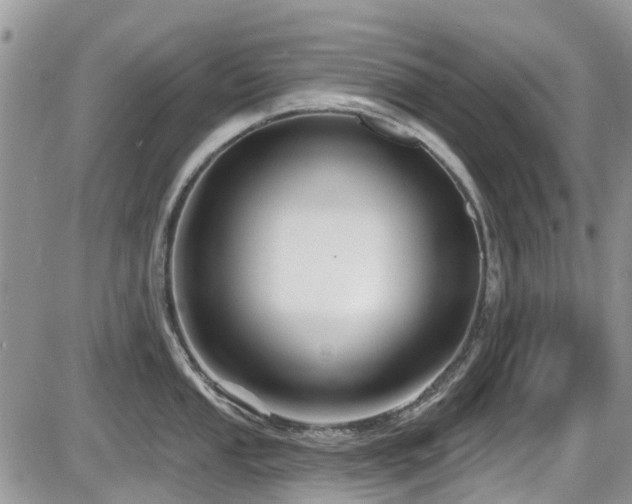 X0000086071053200703231302