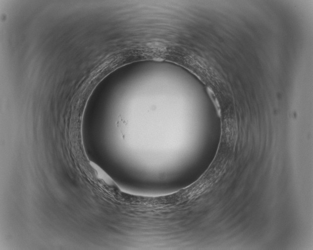 X0000086071057200703231302