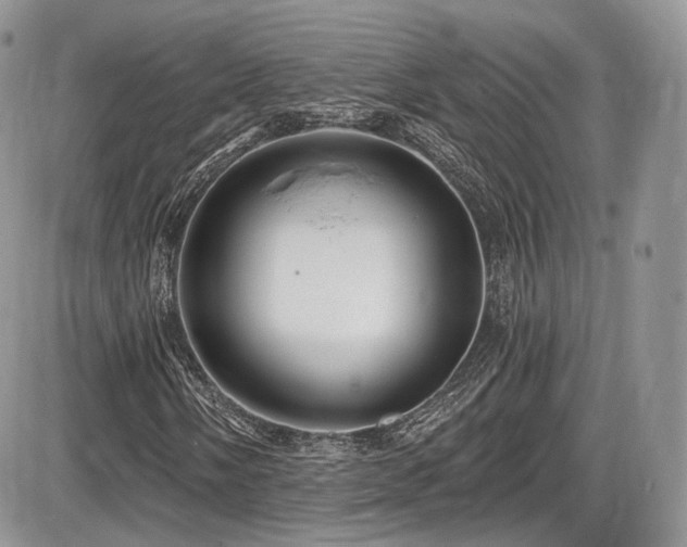 X0000086071058200703231302