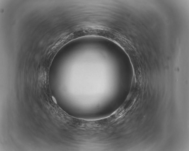 X0000086071061200703231302
