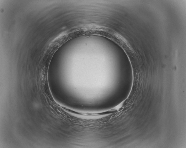 X0000086071063200703231301