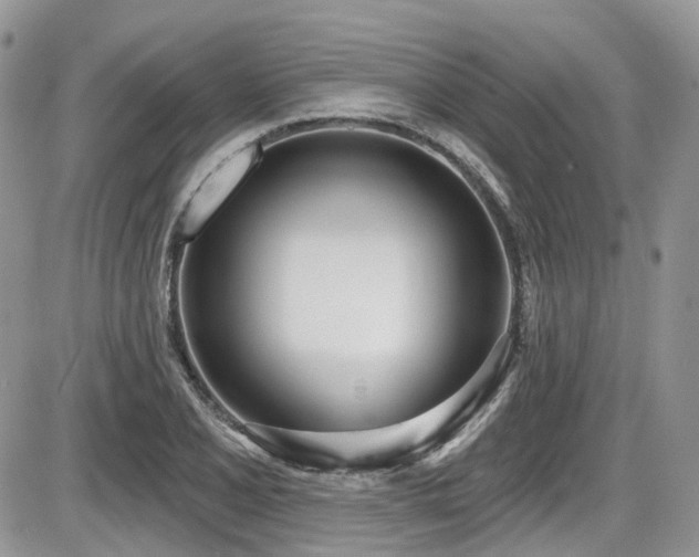 X0000086071077200703231301