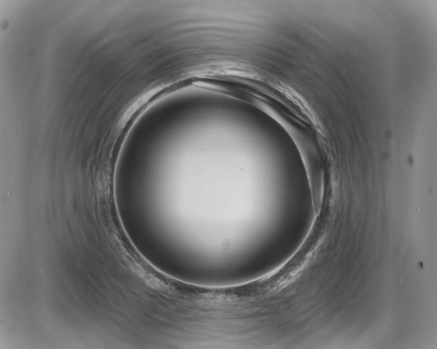 X0000086071081200703231301