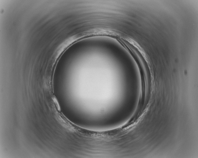 X0000086071089200703231301