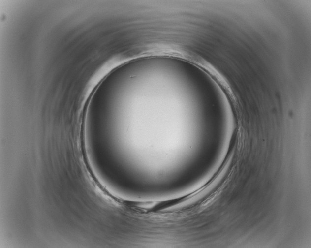 X0000086071102200703231301