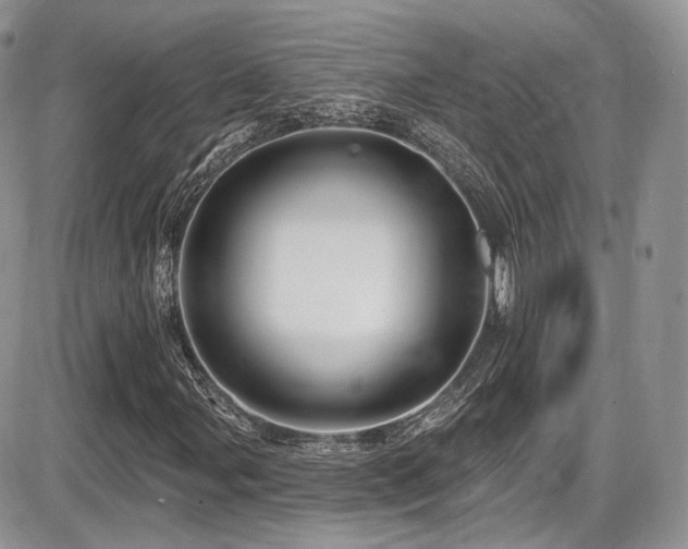 X0000086071107200703231300