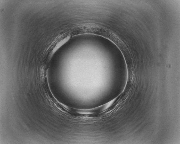 X0000086071108200703231300