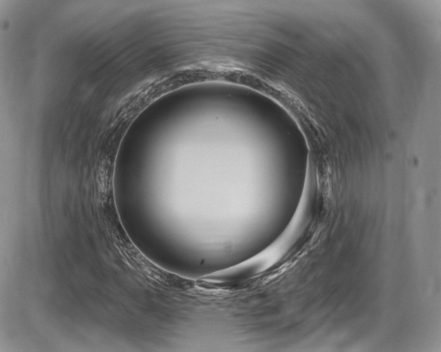 X0000086071110200703231300