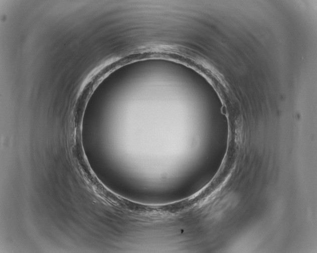 X0000086071117200703231300