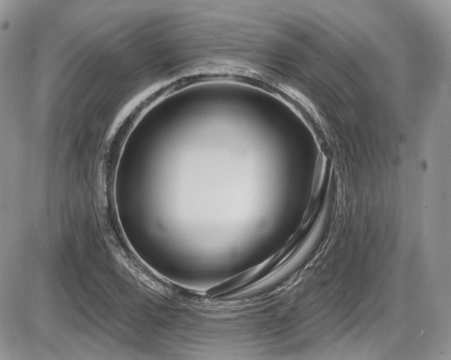 X0000086071120200703231300