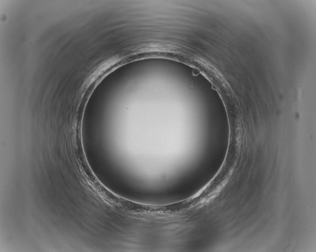 X0000086071121200703231300