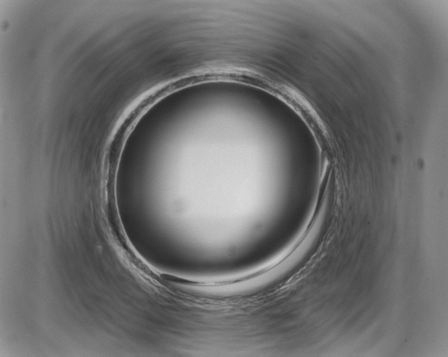 X0000086071124200703231300
