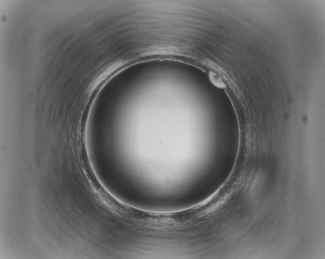 X0000086071129200703231300
