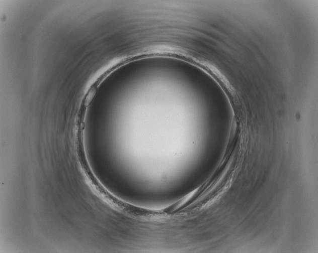 X0000086071134200703231300