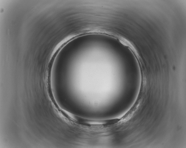 X0000086071149200703231301