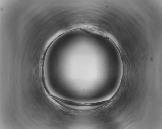 X0000086071151200703231301