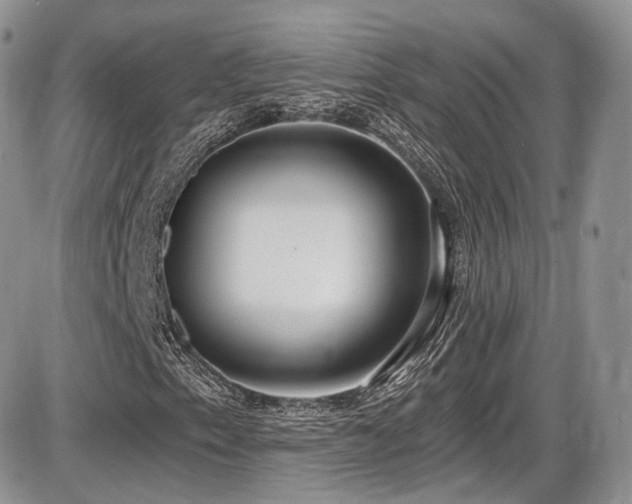 X0000086071153200703231300