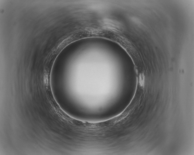 X0000086071155200703231300