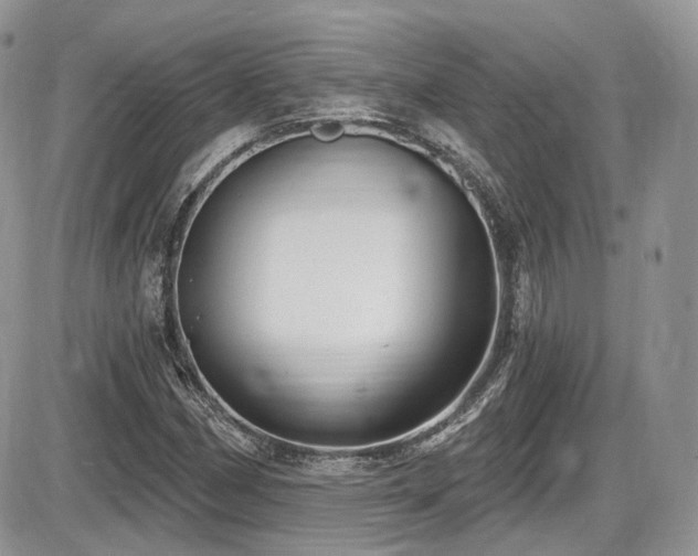 X0000086071162200703231300