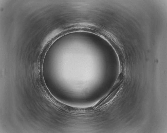 X0000086071164200703231300