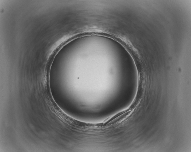 X0000086071167200703231300