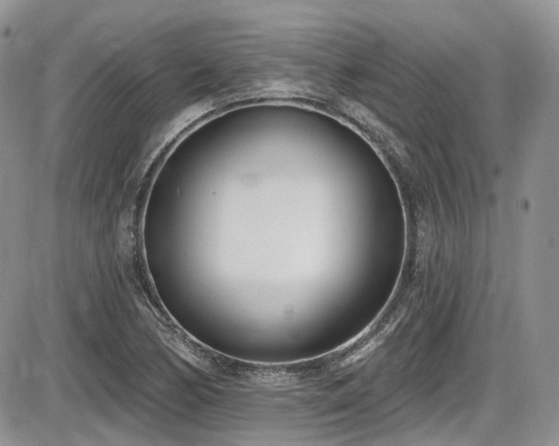 X0000086071170200703231300