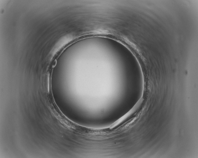 X0000086071171200703231300
