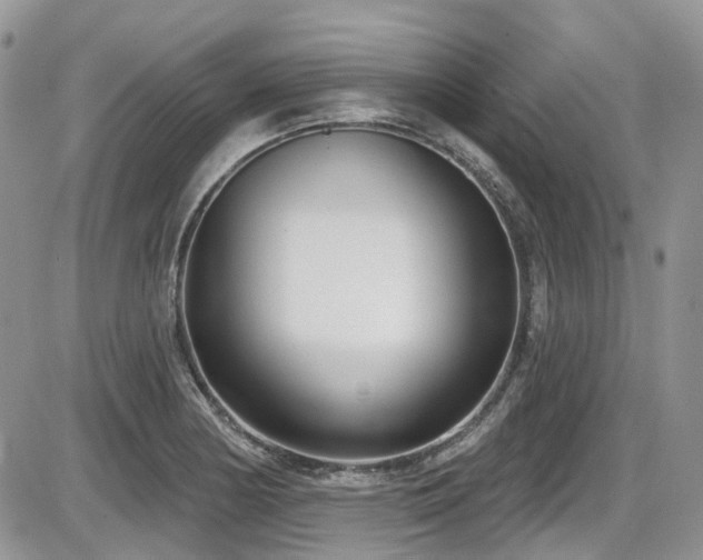 X0000086071178200703231300